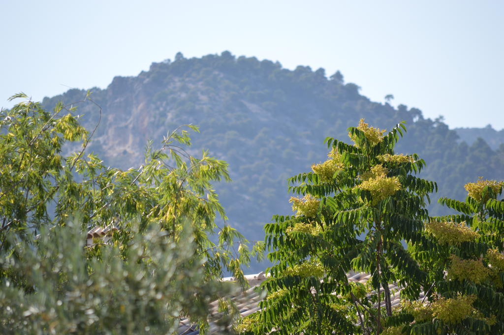 Complejo Rural Ibipozo Guest House Pozo Alcon Exterior photo